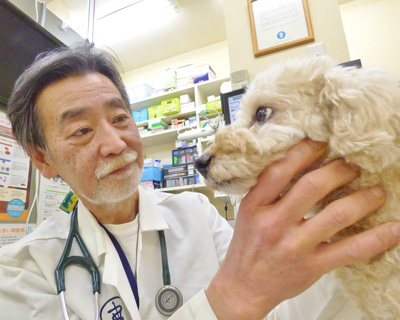 院長　獣医師　元井 宏行