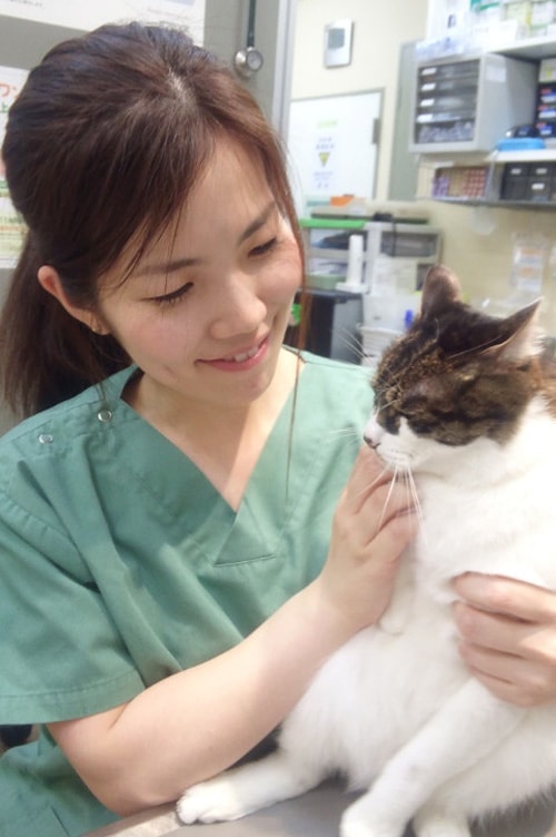 獣医師 土橋 (育休中)